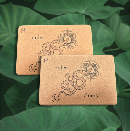 Cork Yoga Blocks (Pair) — Chaos to Order